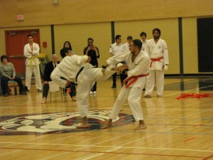 2013 ISKF Provincial Tournament — photo 13
