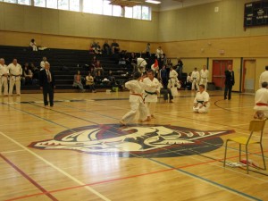 2013 ISKF Provincial Tournament — photo 5