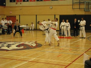 2013 ISKF Provincial Tournament — photo 6